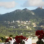 Bed & Breakfast Galo Preto - 4*