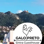 Galo Preto - Sintra