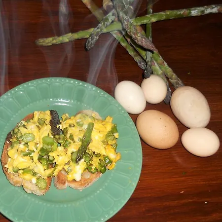 Bed & Breakfast Galo Preto -