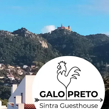Galo Preto - سينترا