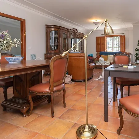 Galo Preto - 4* Sintra
