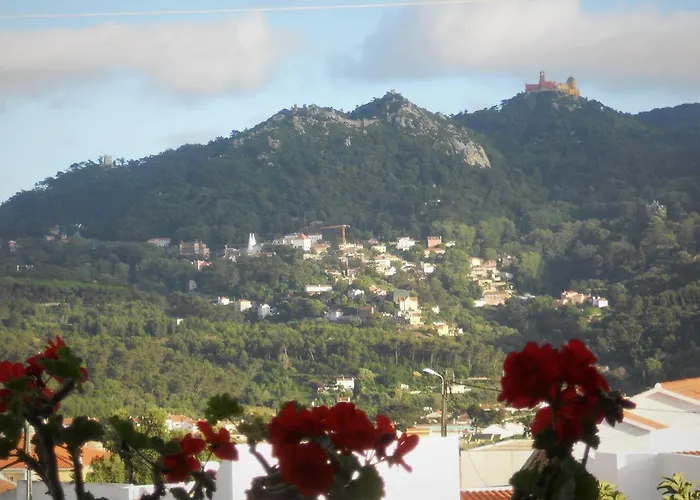 Bed & Breakfast Galo Preto - 4*