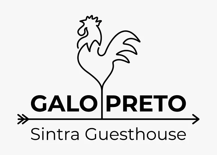 Galo Preto - 4*