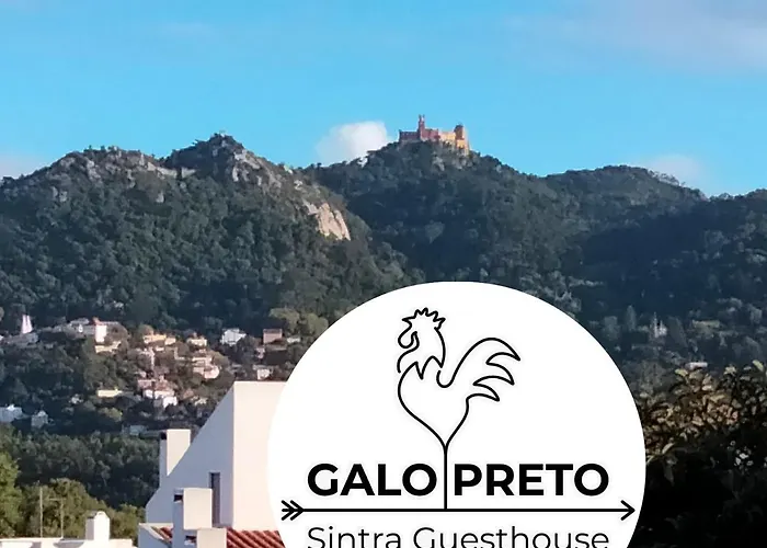 Galo Preto - Синтра